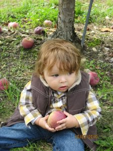 Apple Picking - Jackson