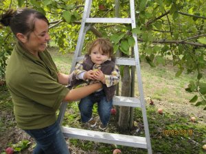 Apple Picking - Noel & Jackson