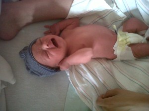 IMG00075-20110619-1934